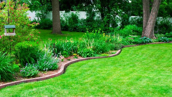 8 Budget-friendly Landscaping Ideas