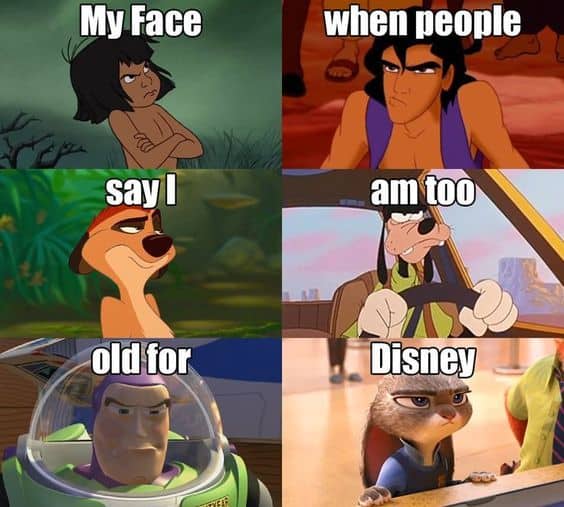 16 Funny Disney Memes That Are Relatable