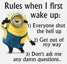 15 Minion Joke Of The Day – Insane Memes & Insane Humor