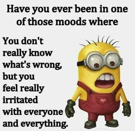 15 Minion Joke Of The Day – Insane Memes & Insane Humor