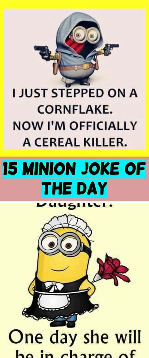 15 Minion Joke Of The Day – Insane Memes & Insane Humor