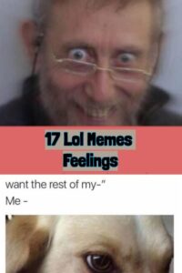 17 Lol Memes Feelings-incredible Memes And Jokes