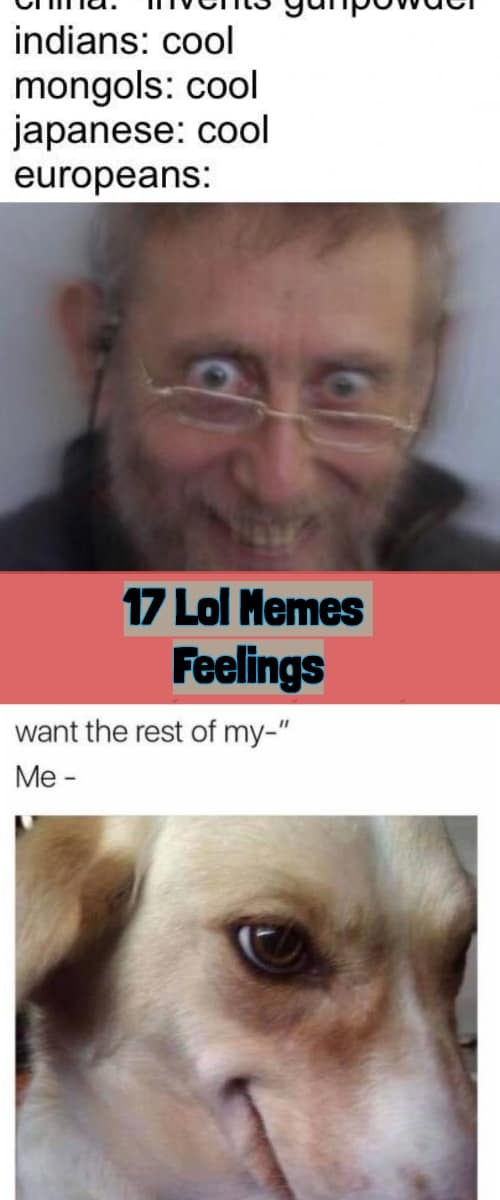 17 Lol Memes Feelings-incredible Memes And Jokes