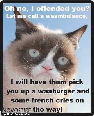 Top 18 Best Grumpy Cat Memes