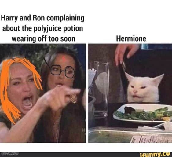 18 Top Fantastic Beasts Memes Collection