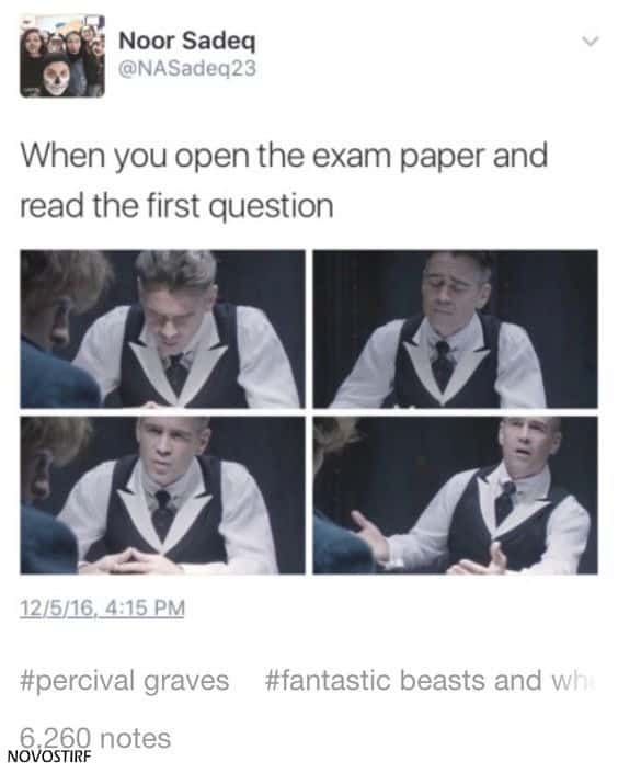 18 Top Fantastic Beasts Memes Collection