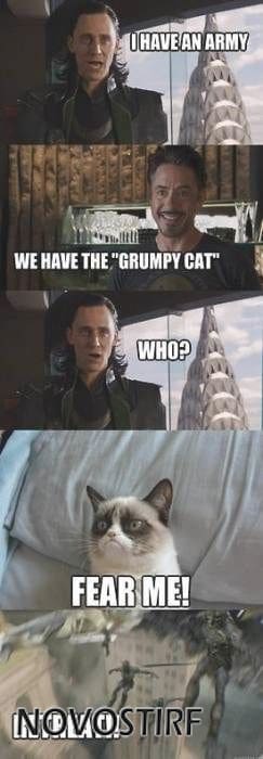 Top 18 Best Grumpy Cat Memes