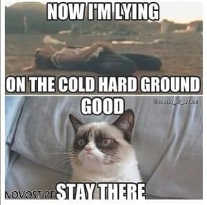 Top 18 Best Grumpy Cat Memes