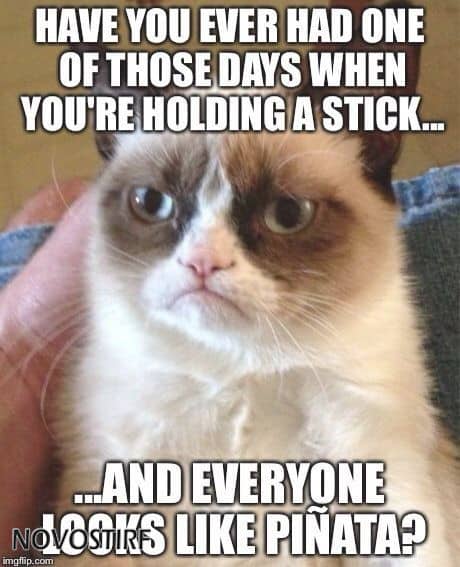 Top 18 Best Grumpy Cat Memes