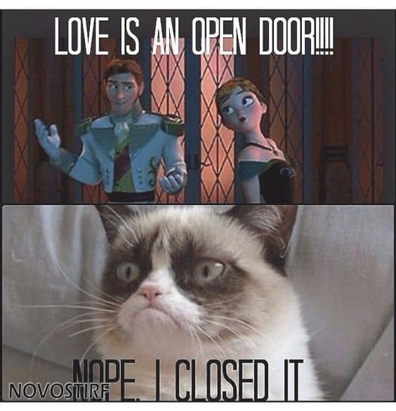 Top 18 Best Grumpy Cat Memes