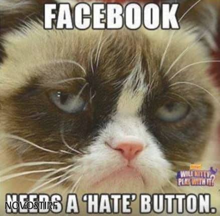 Top 18 Best Grumpy Cat Memes