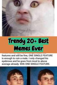 Trendy 20+ Best Memes Ever Collection