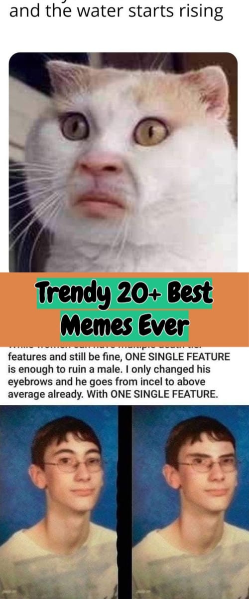 Trendy 20+ Best Memes Ever Collection