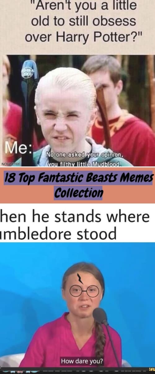 18 Top Fantastic Beasts Memes Collection