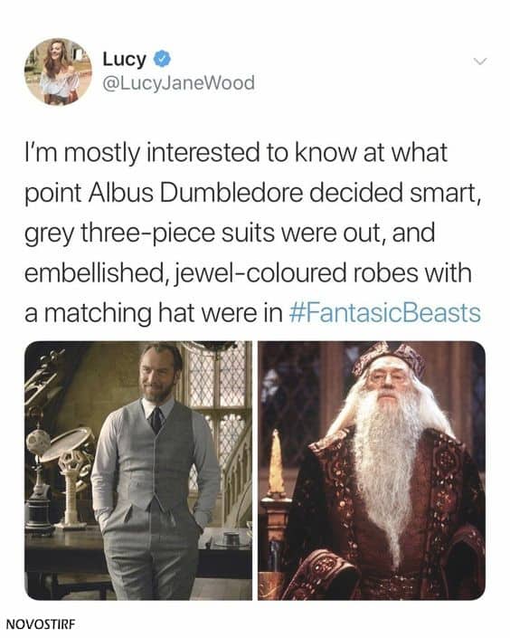 18 Top Fantastic Beasts Memes Collection