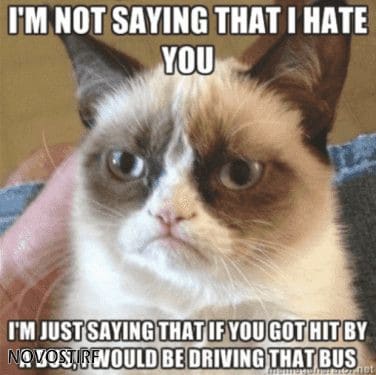 Top 18 Best Grumpy Cat Memes