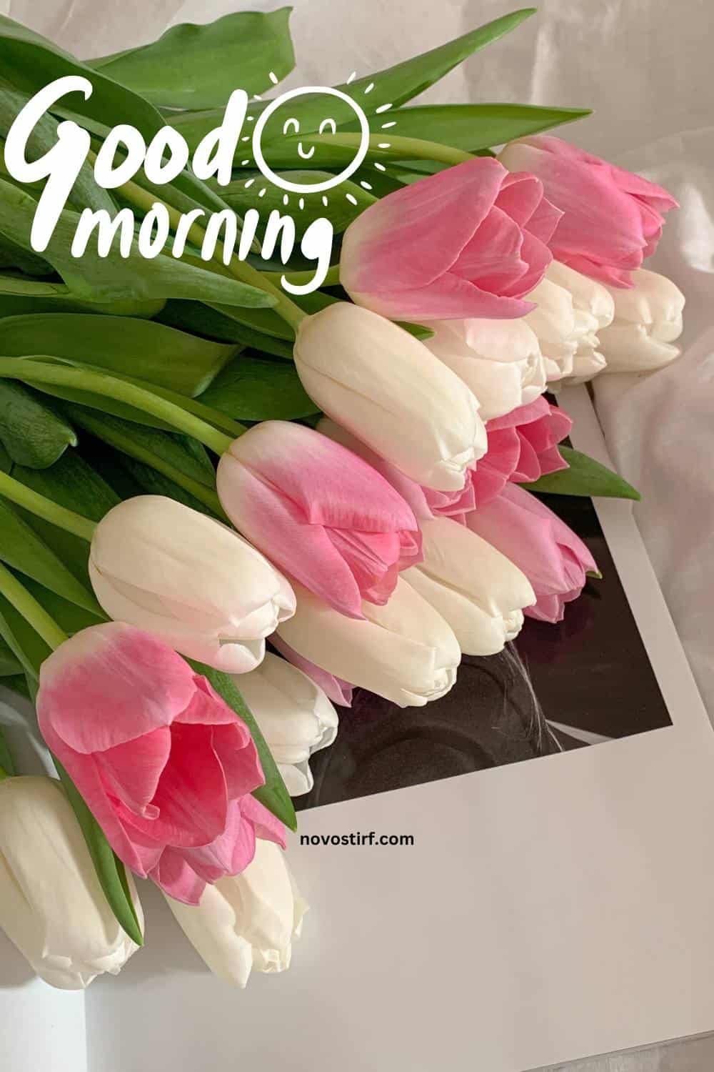 40+ Good Morning Beautiful Flower Images