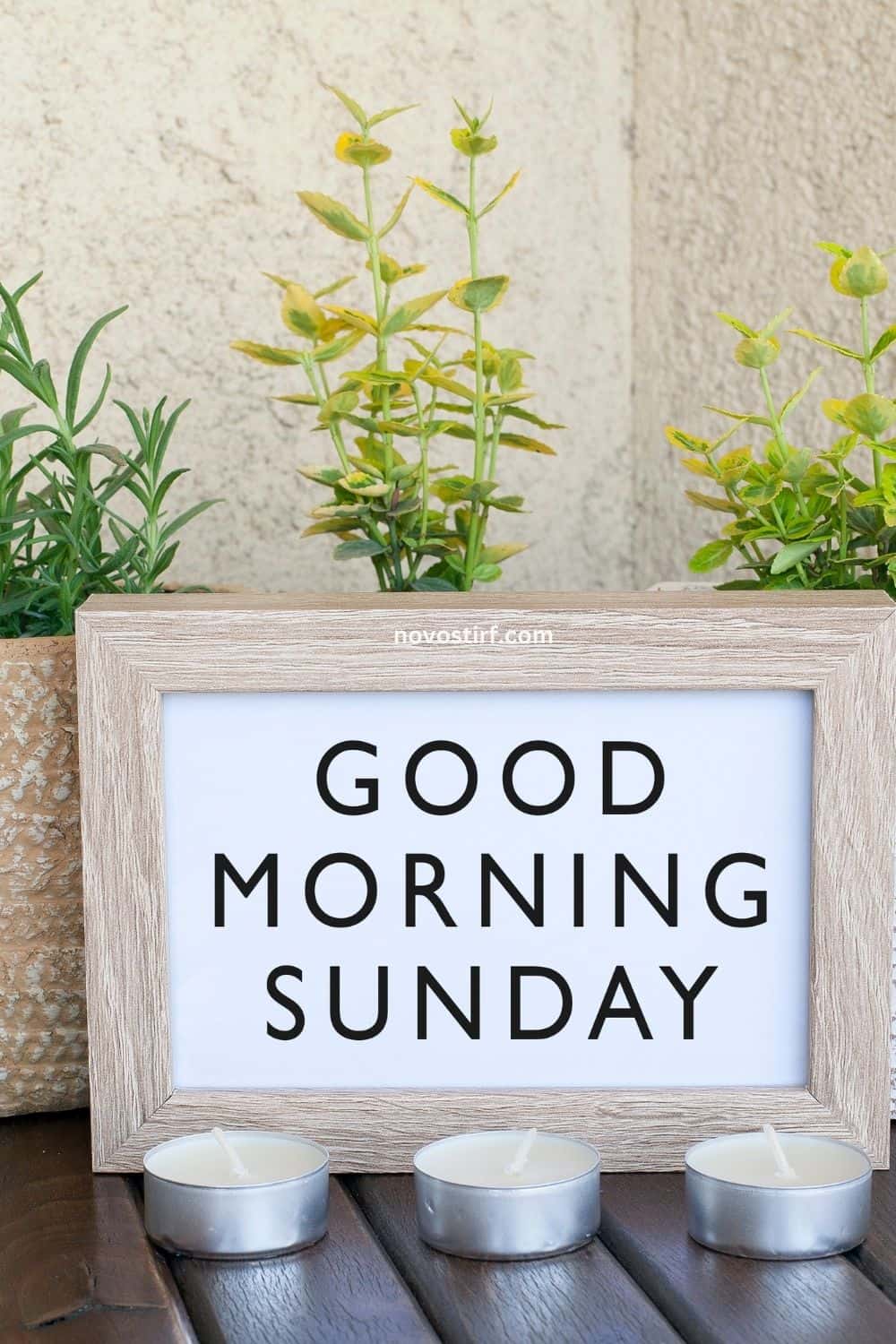 30+ Good Morning Happy Sunday Images