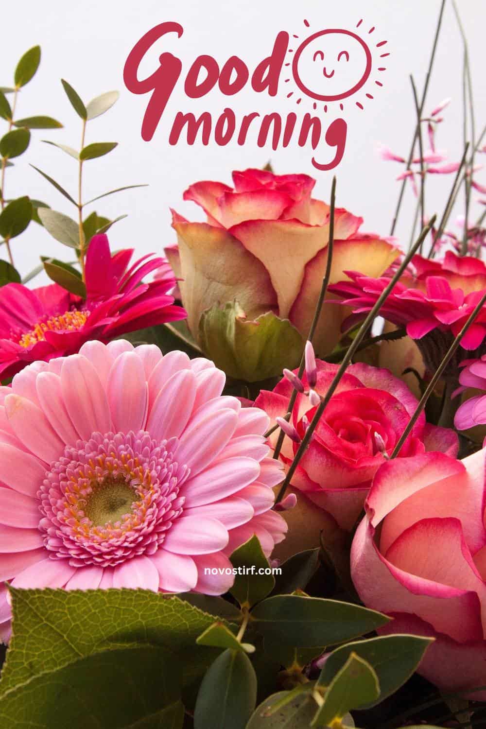 40+ Good Morning Beautiful Flower Images