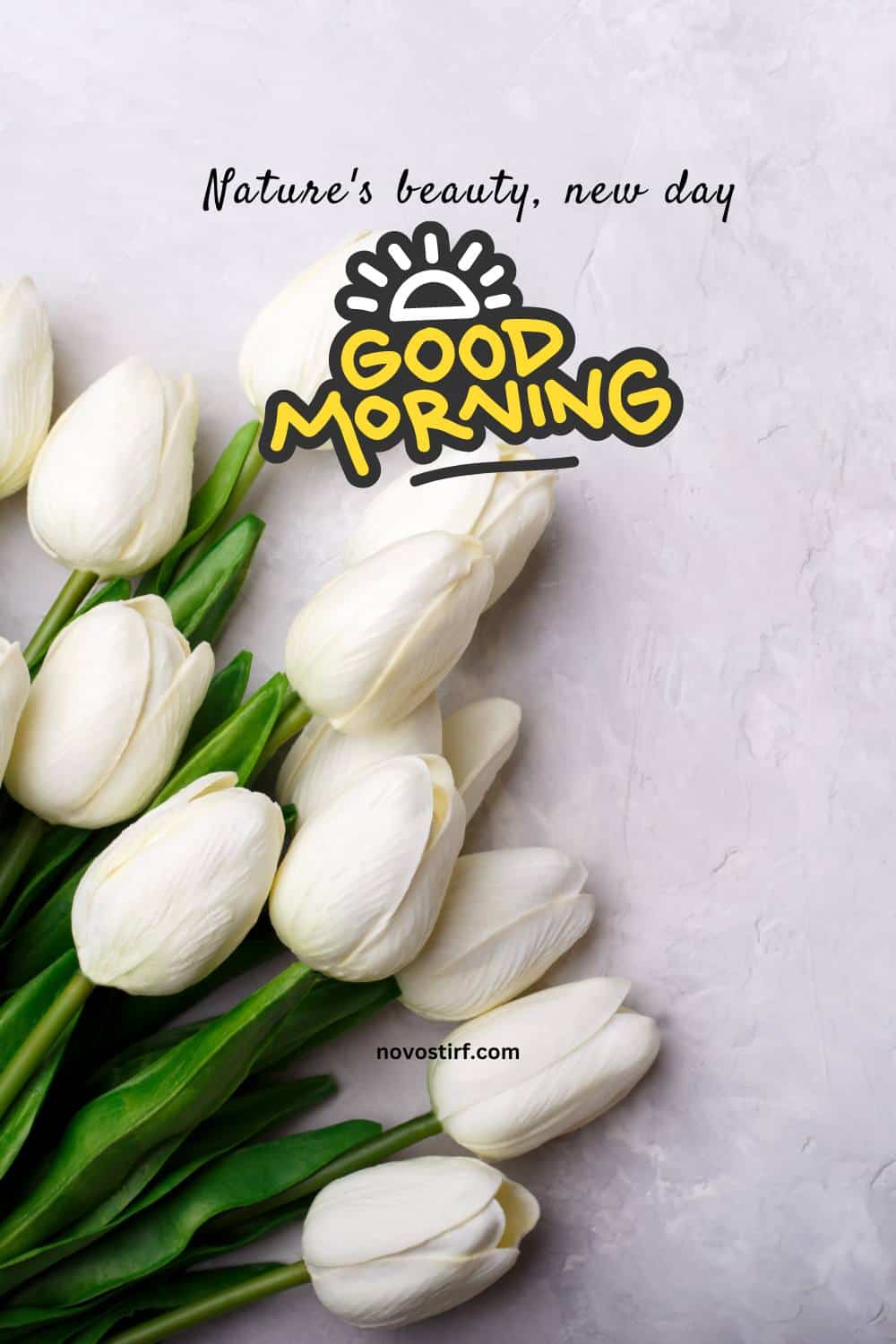 40+ Good Morning Beautiful Flower Images