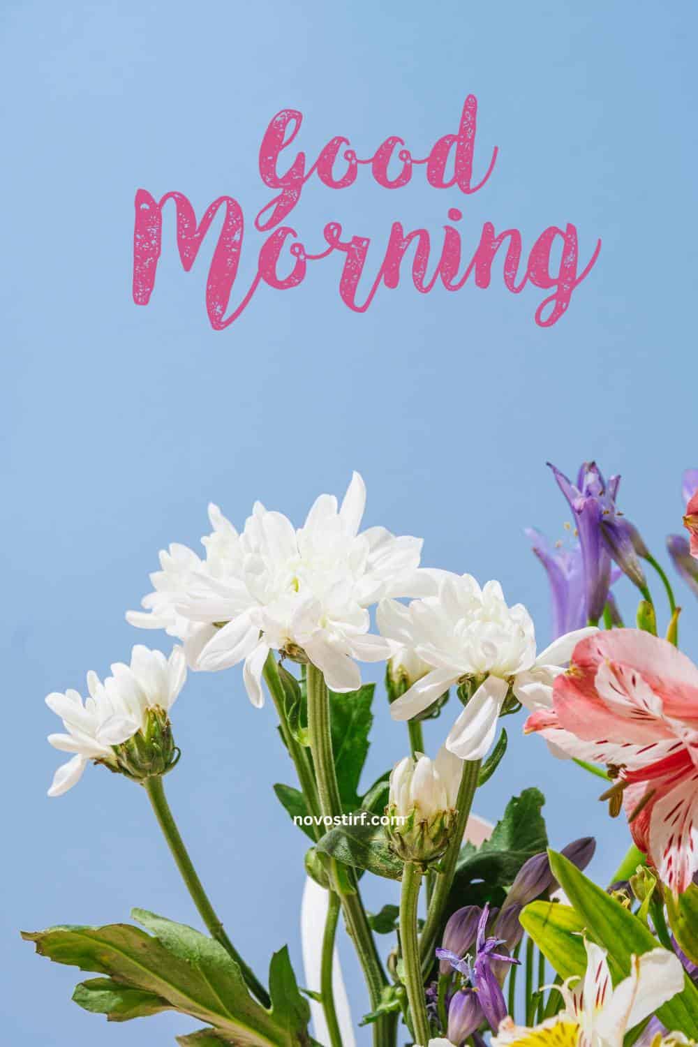 40+ Good Morning Beautiful Flower Images