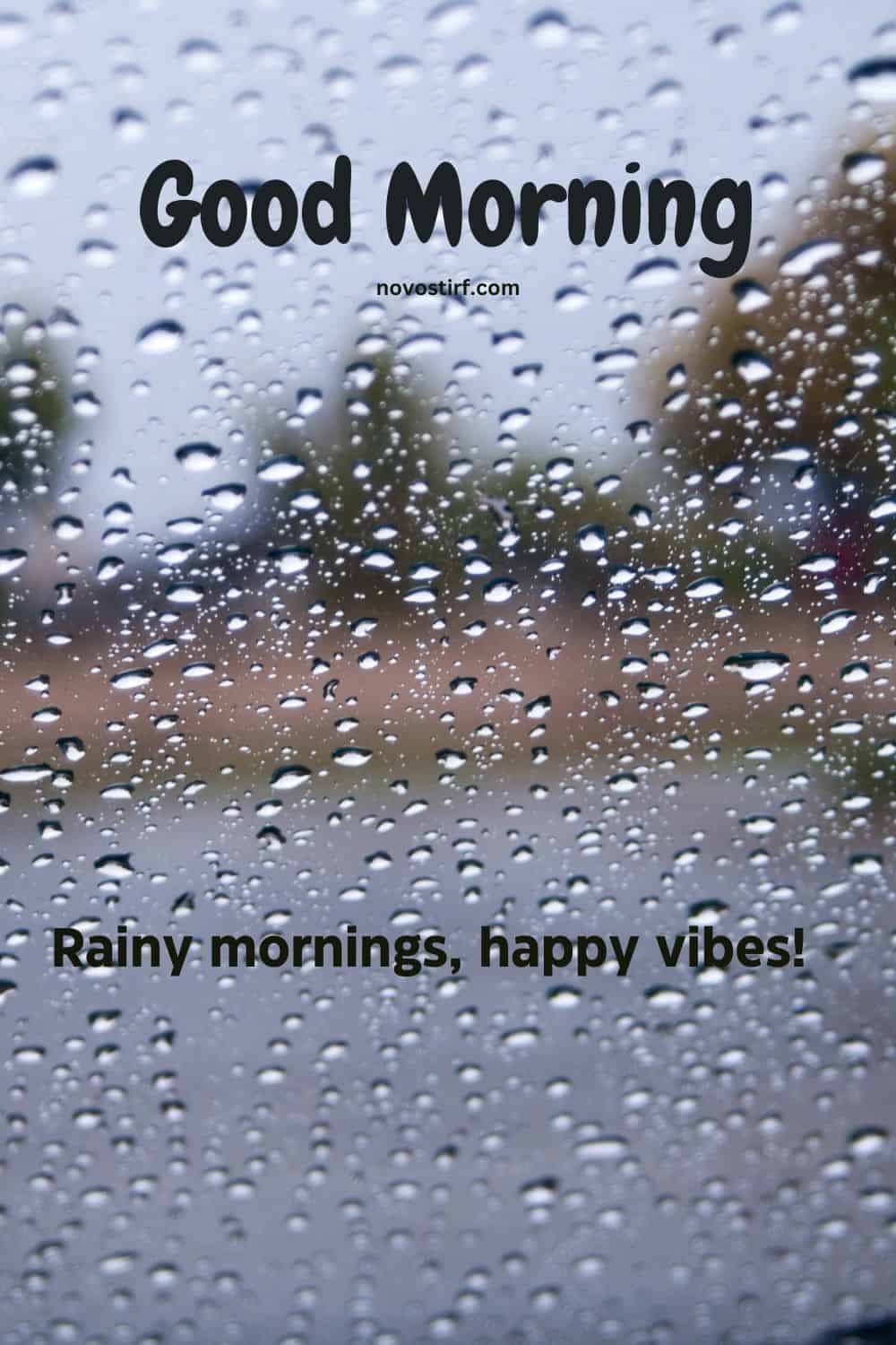 30+ Rainy Good Morning Images, Hd Photos