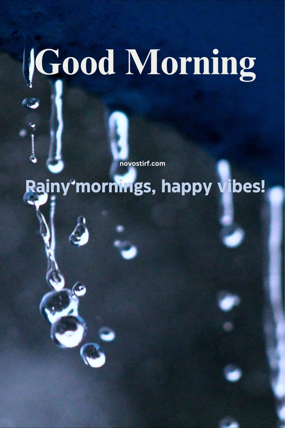 30+ Rainy Good Morning Images, Hd Photos