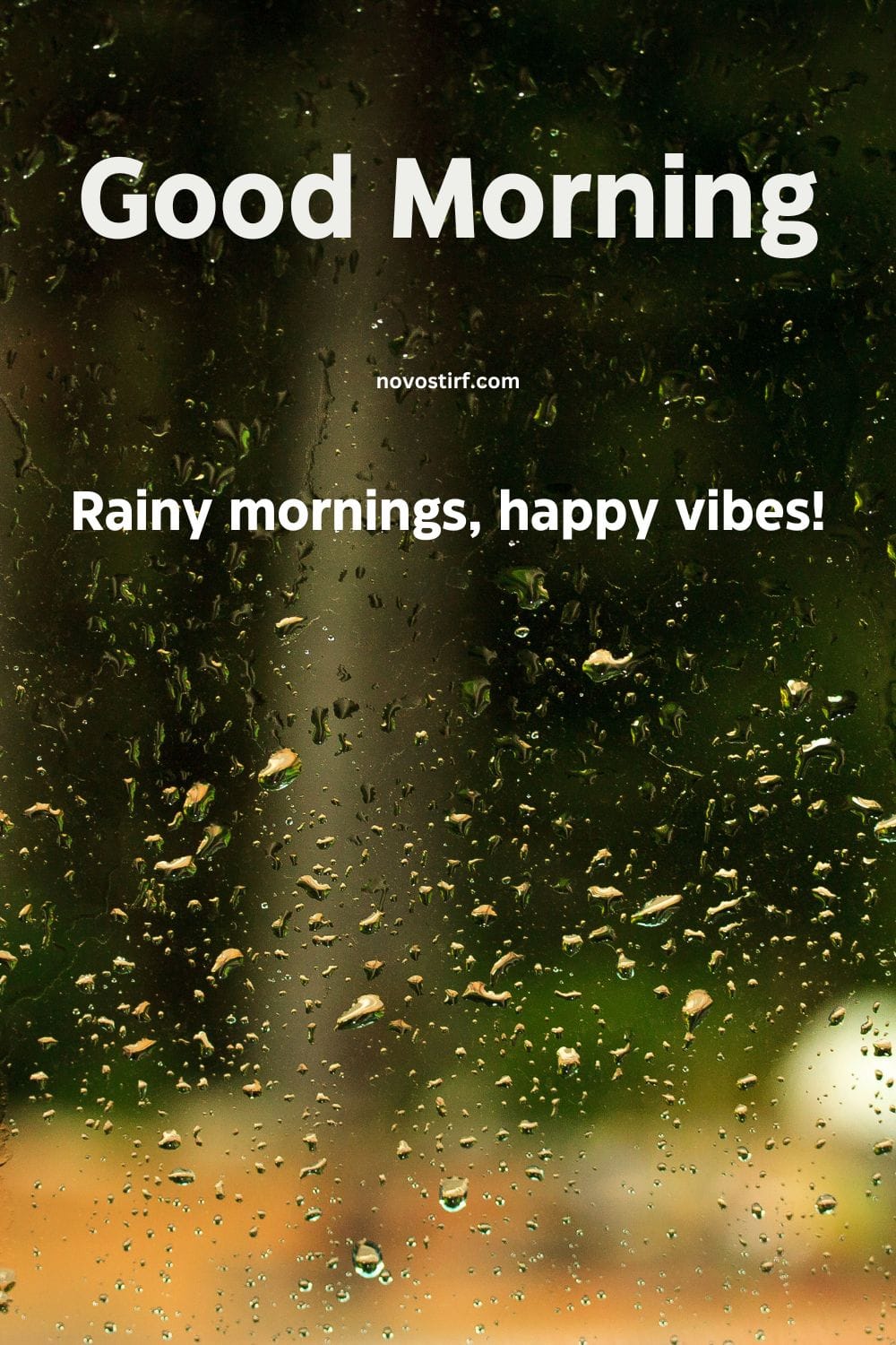 30+ Rainy Good Morning Images, Hd Photos