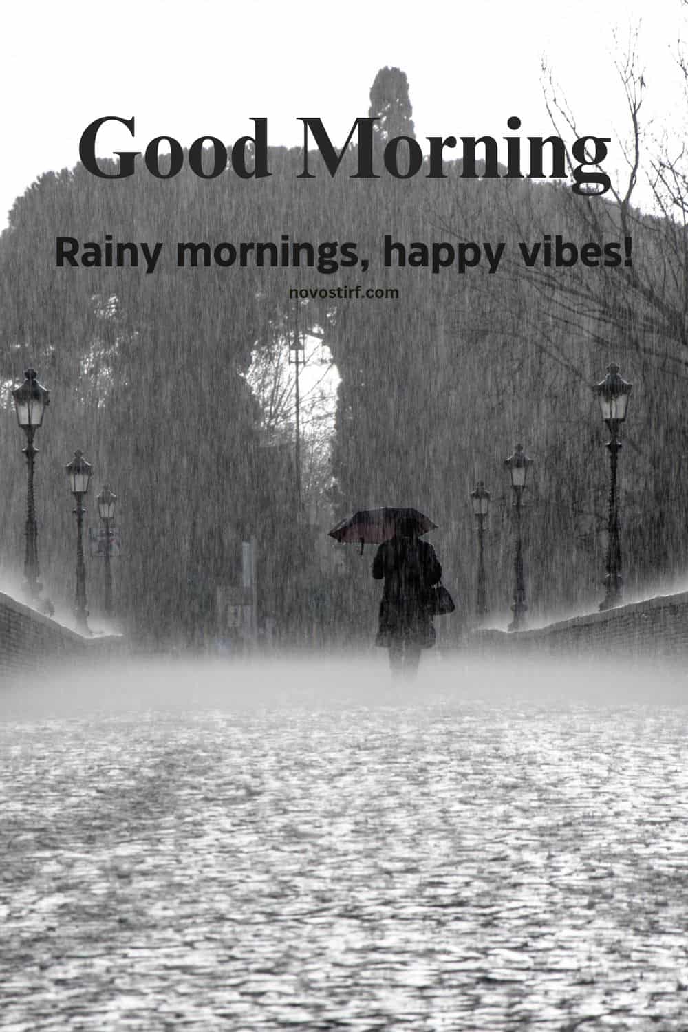 30+ Rainy Good Morning Images, Hd Photos