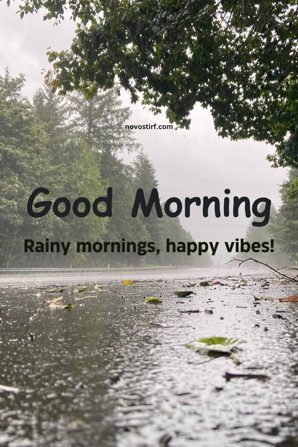 30+ Rainy Good Morning Images, Hd Photos