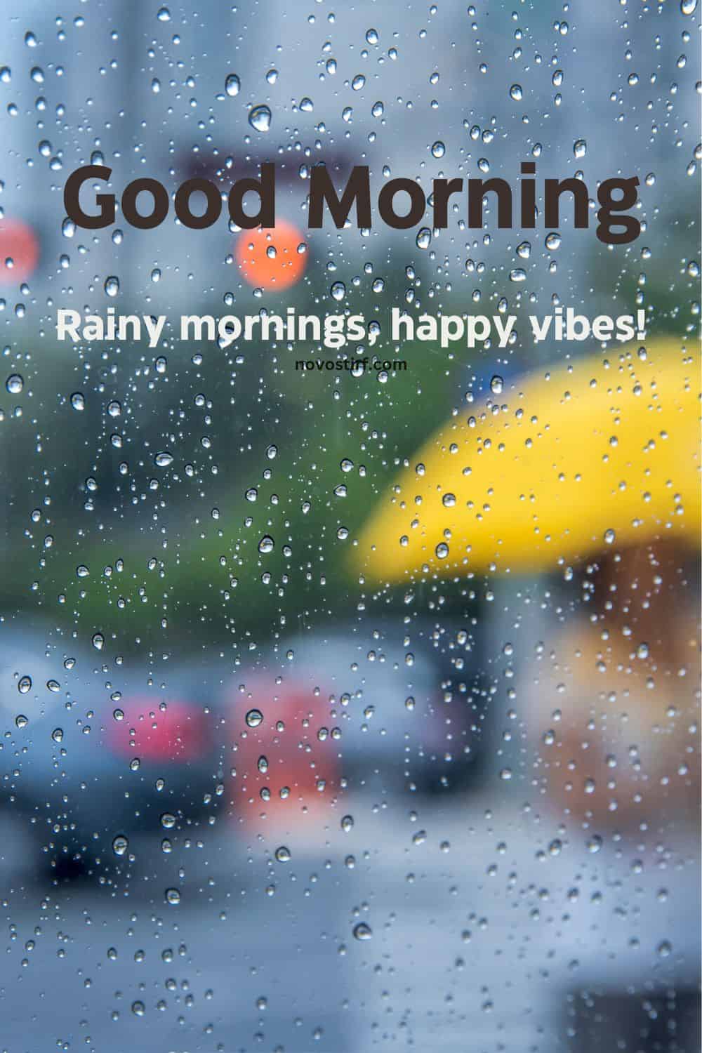 30+ Rainy Good Morning Images, Hd Photos