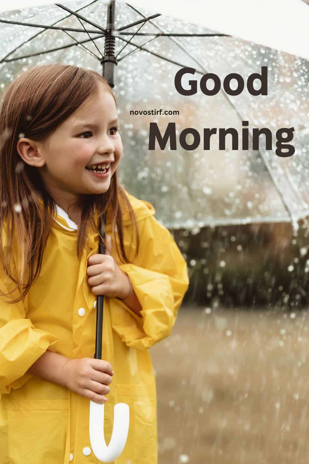 30+ Rainy Good Morning Images, Hd Photos