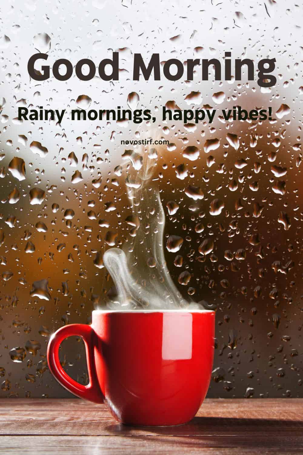 30+ Rainy Good Morning Images, Hd Photos