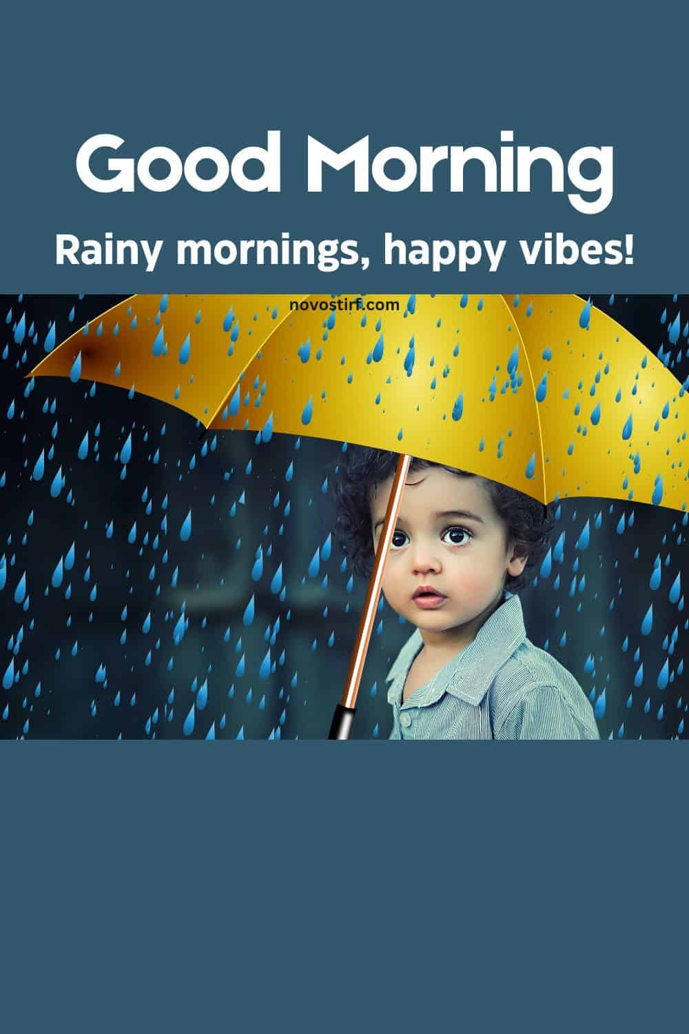 30+ Rainy Good Morning Images, Hd Photos