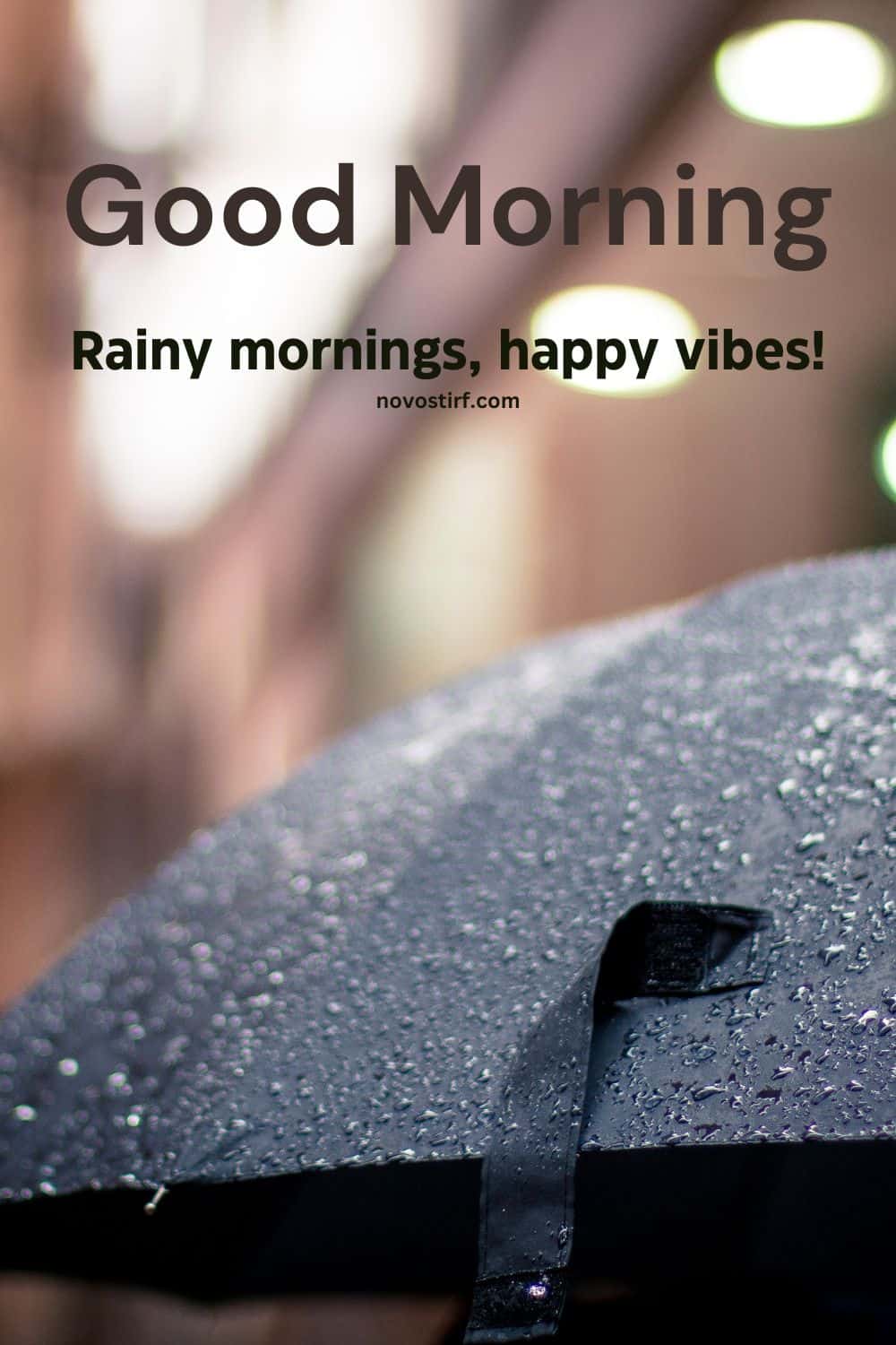 30+ Rainy Good Morning Images, Hd Photos