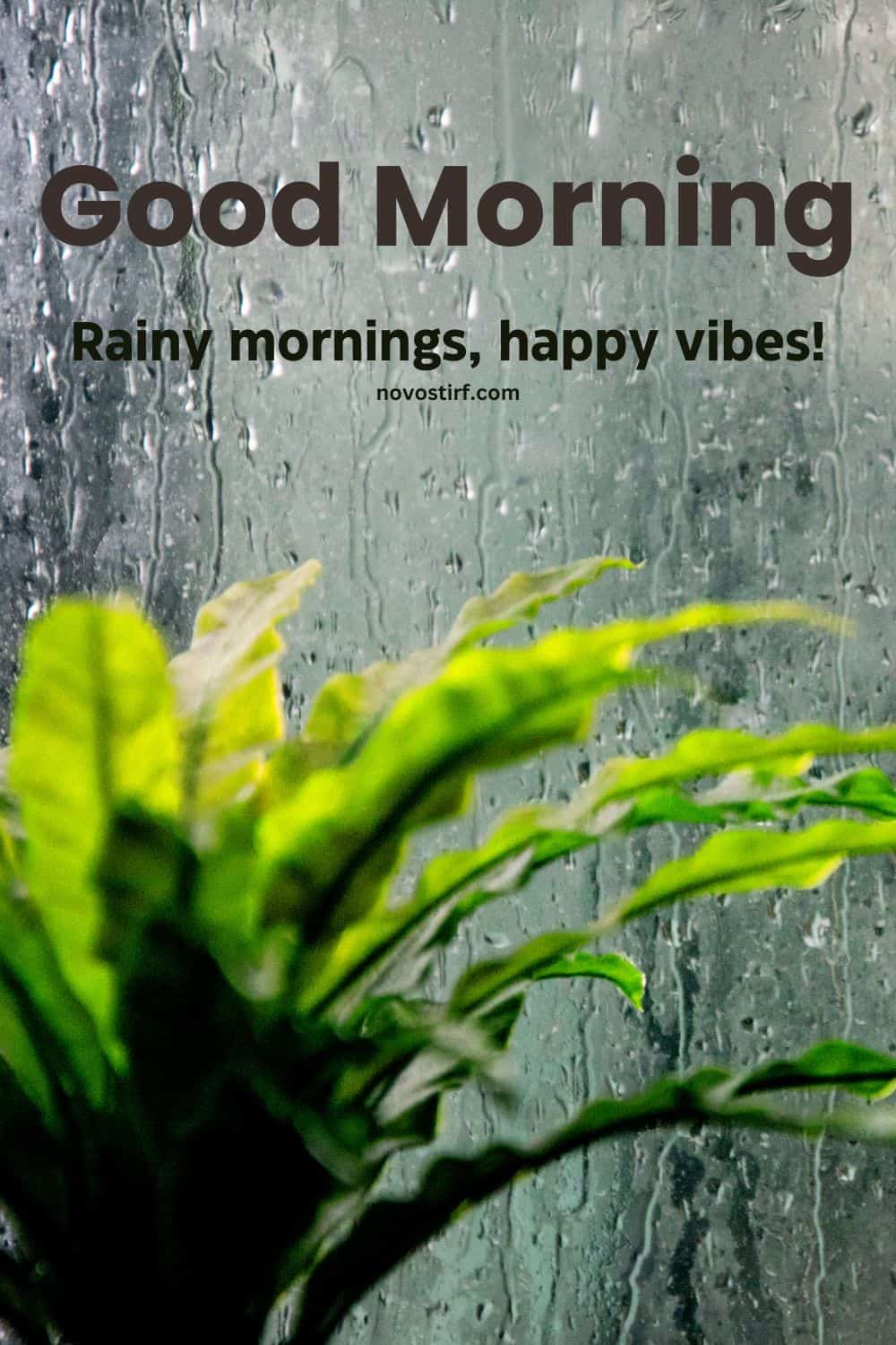 30+ Rainy Good Morning Images, Hd Photos