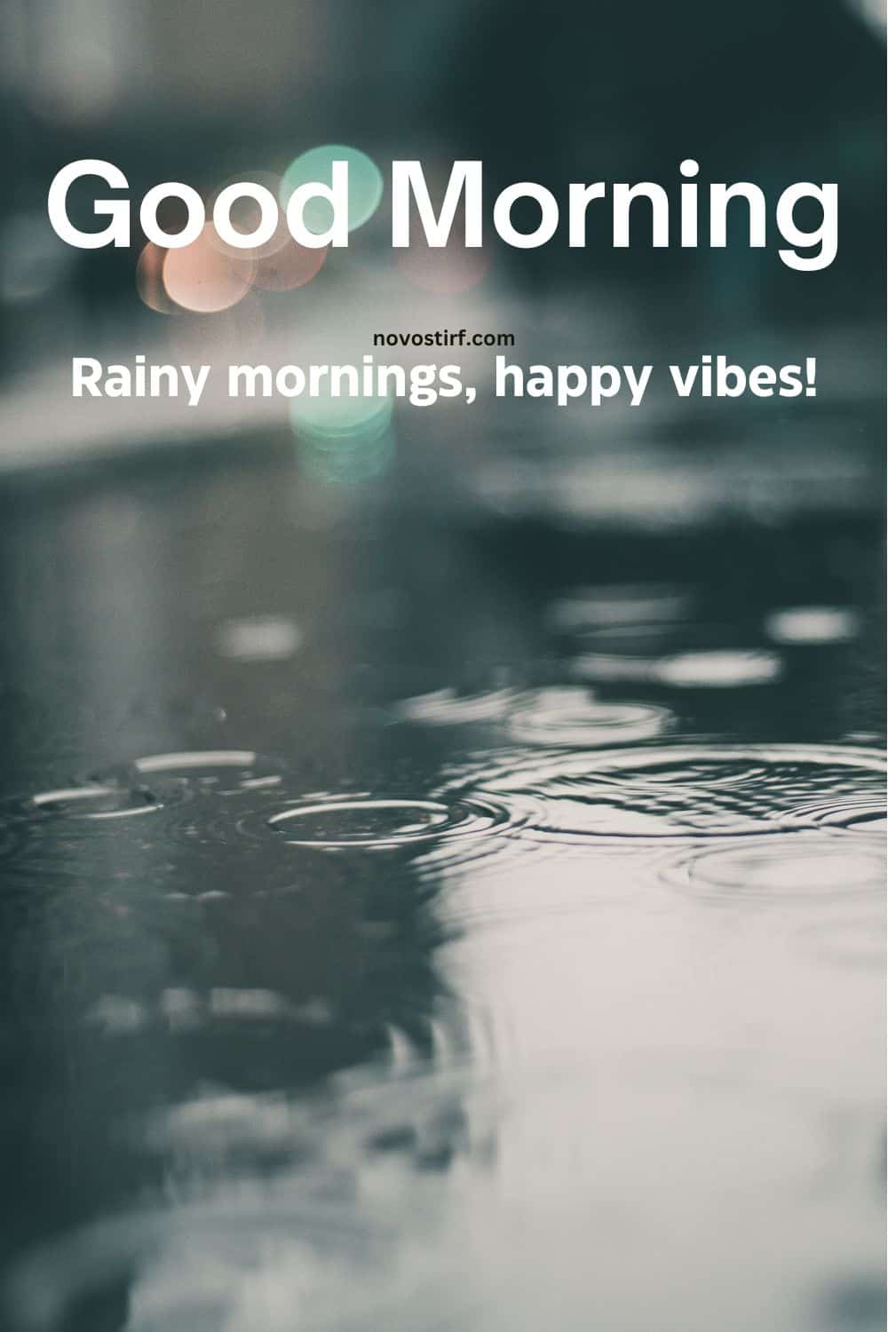 30+ Rainy Good Morning Images, Hd Photos