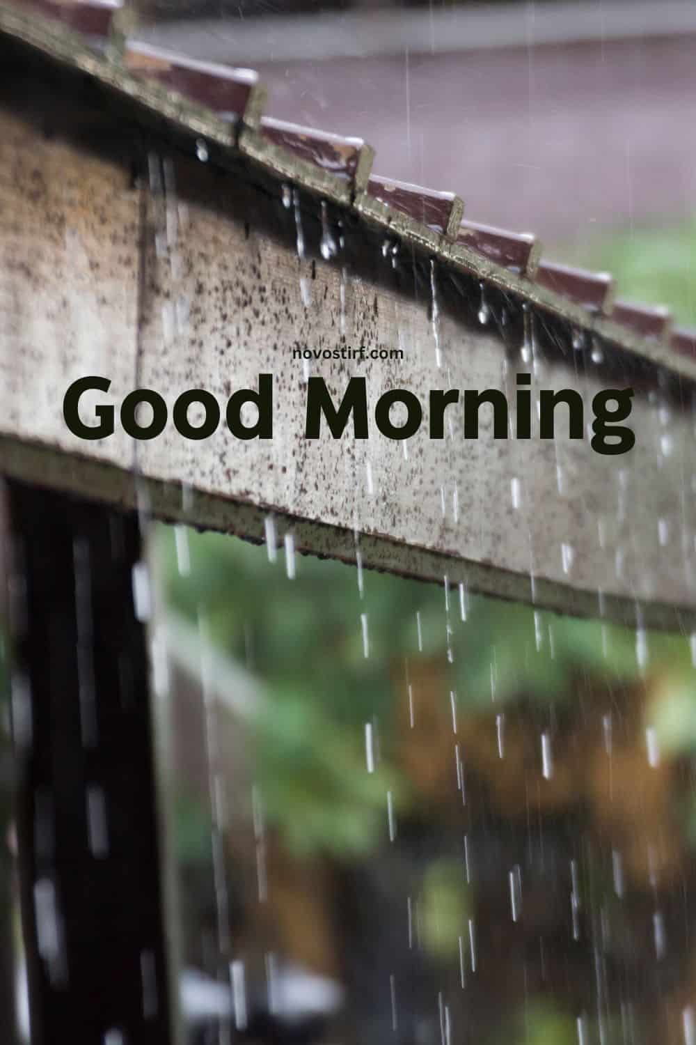 30+ Rainy Good Morning Images, Hd Photos