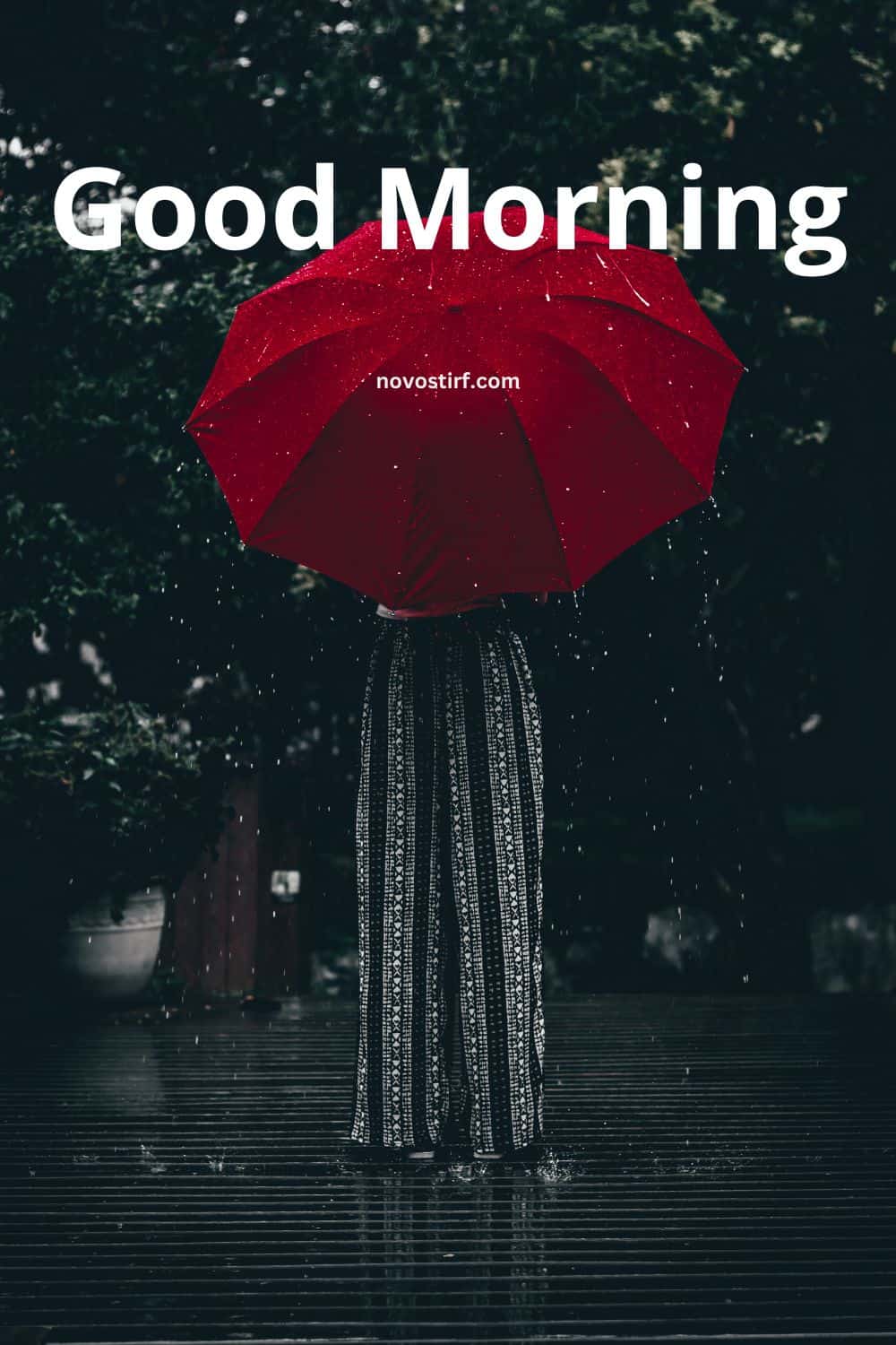 30+ Rainy Good Morning Images, Hd Photos