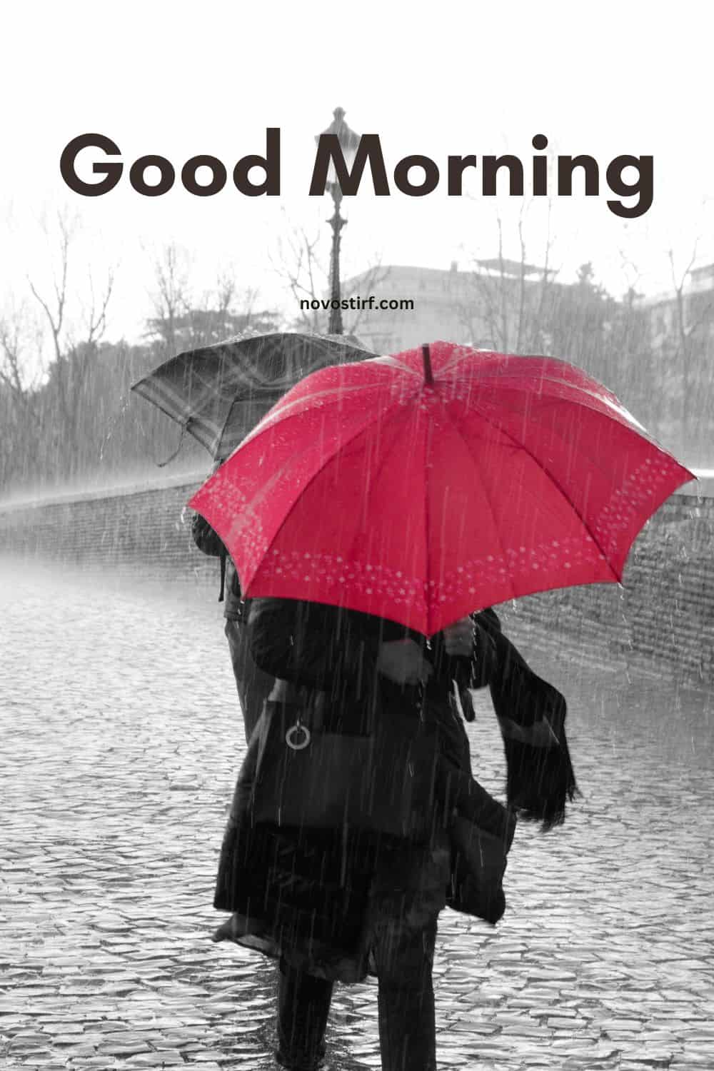 30+ Rainy Good Morning Images, Hd Photos