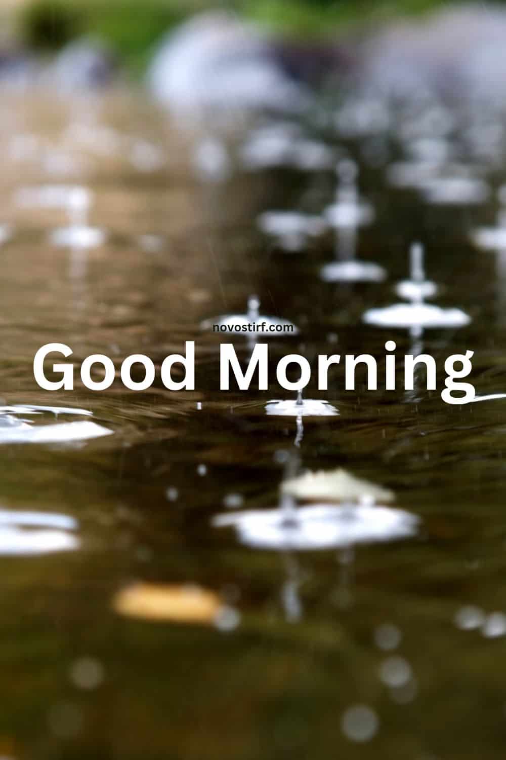 30+ Rainy Good Morning Images, Hd Photos