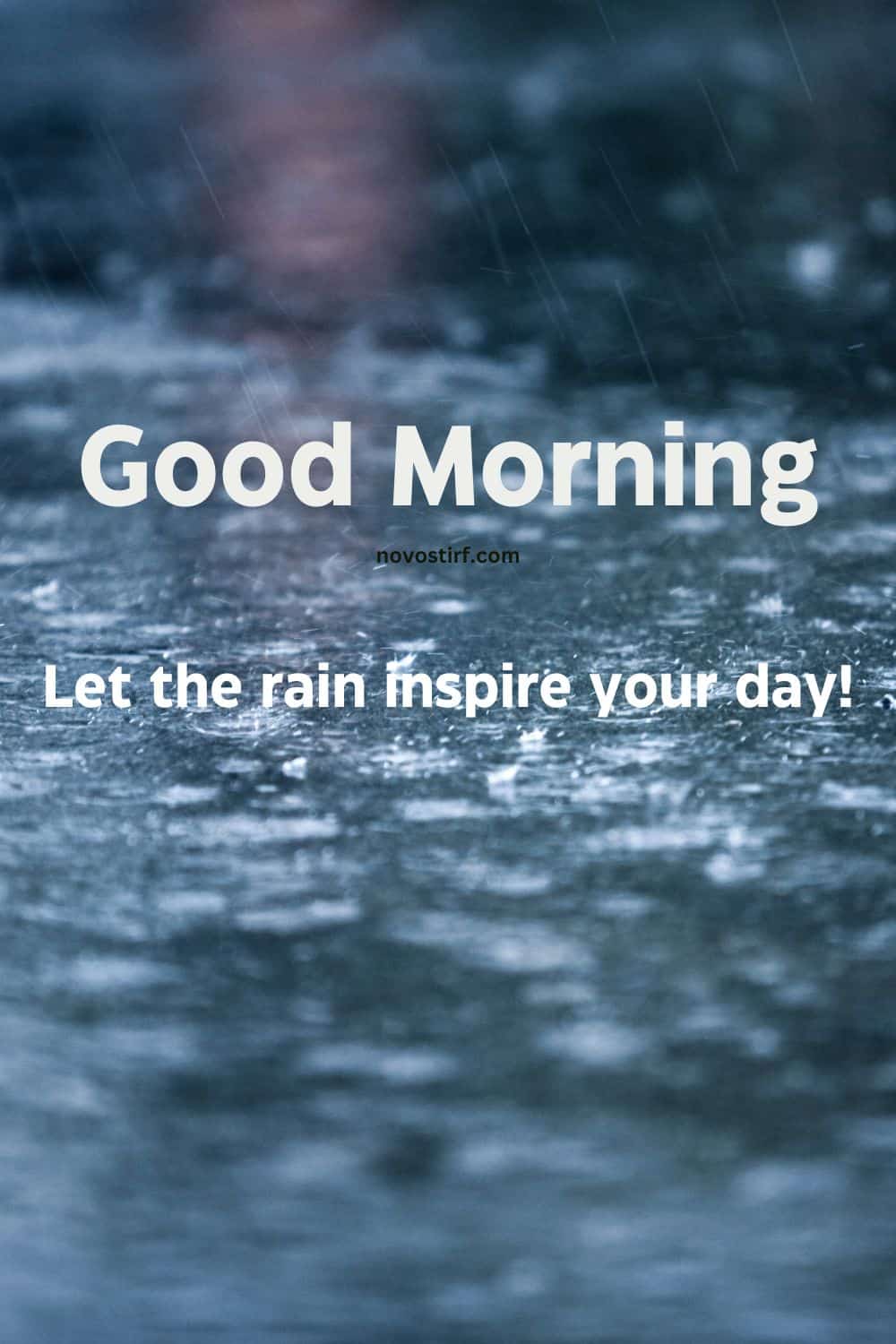 30+ Rainy Good Morning Images, Hd Photos