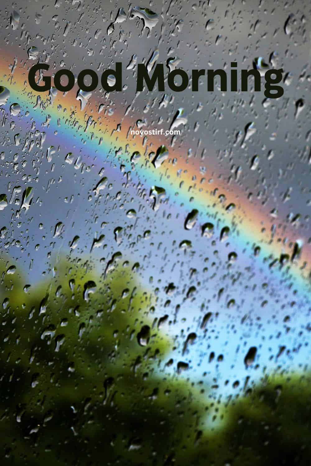 30+ Rainy Good Morning Images, Hd Photos