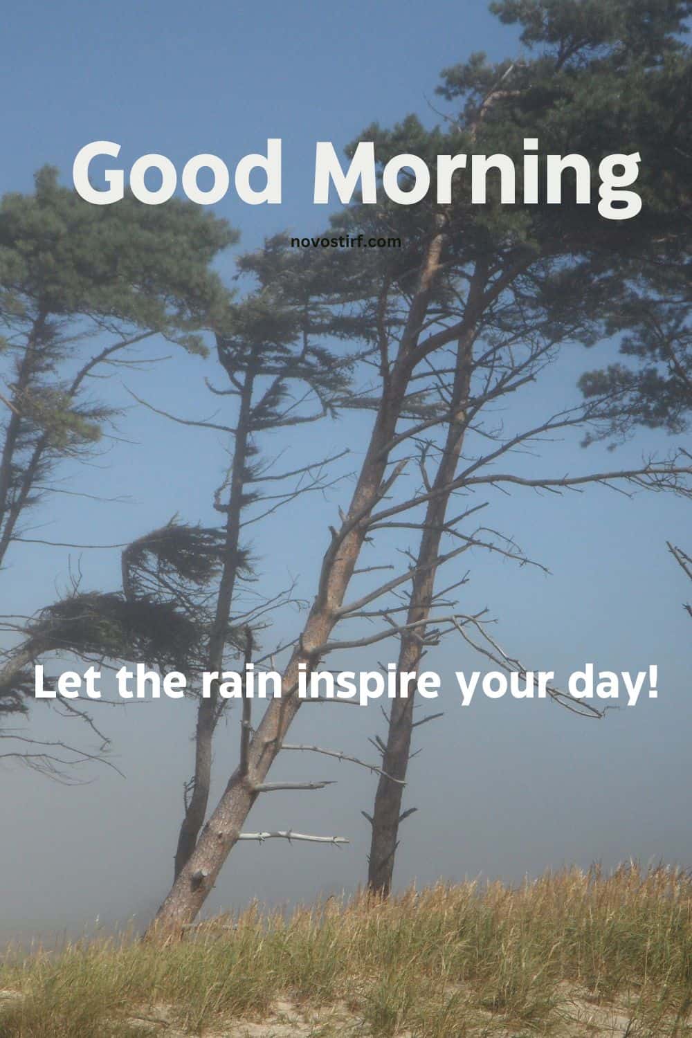 30+ Rainy Good Morning Images, Hd Photos