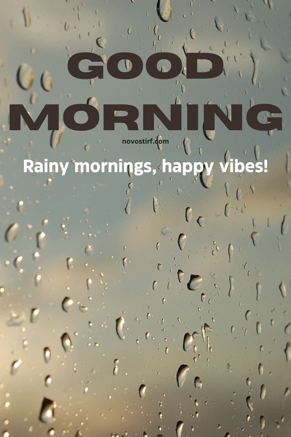 30+ Rainy Good Morning Images, Hd Photos