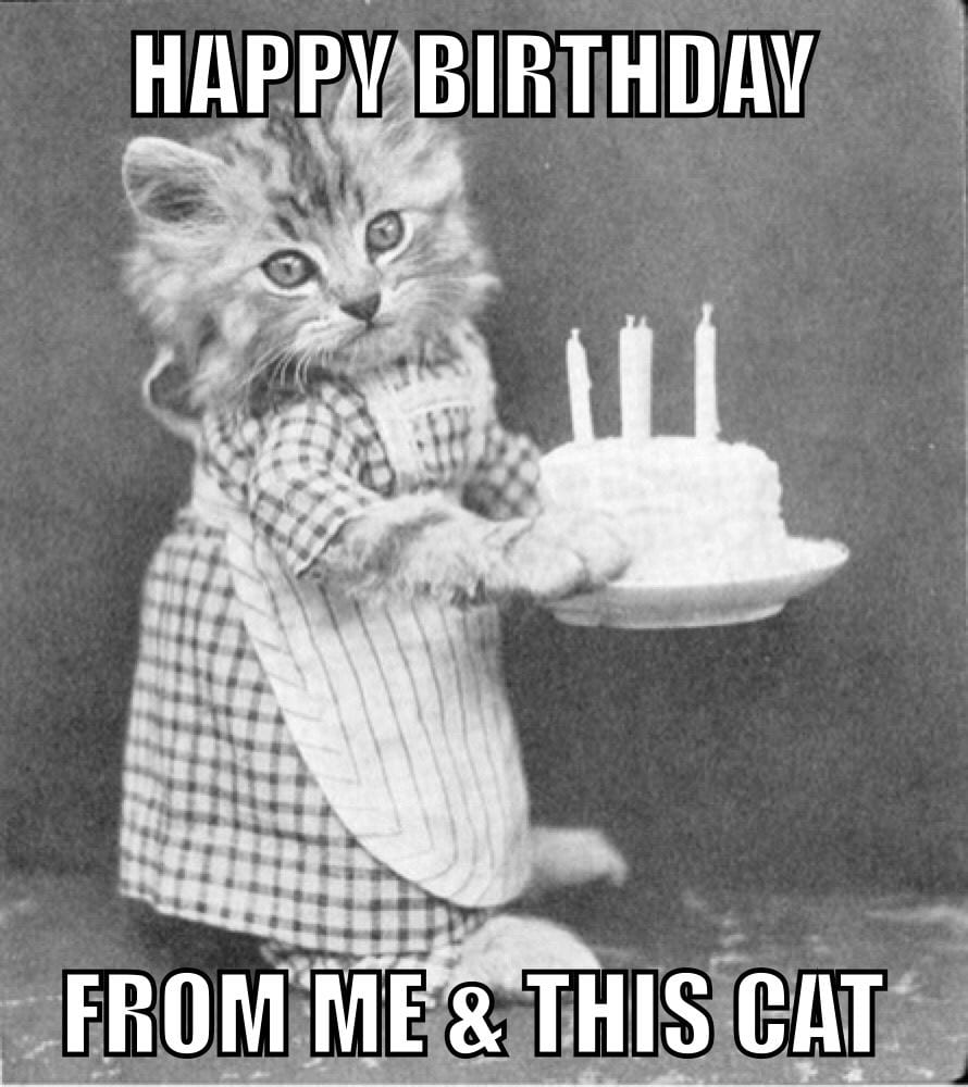 30 Funny Birthday Memes