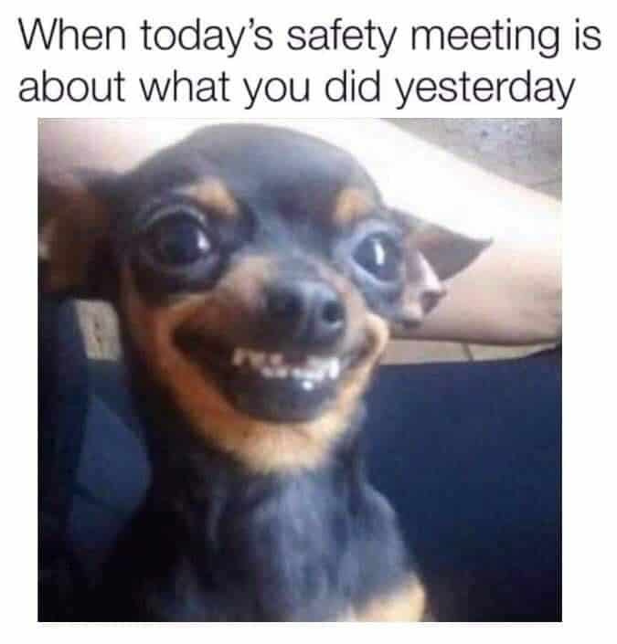 35 Funny Dog Memes